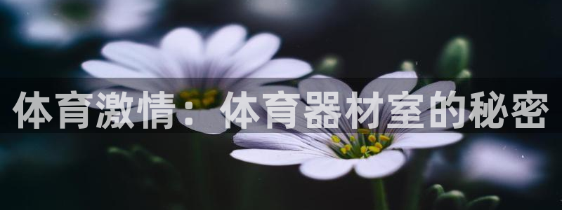 星欧娱乐的创始人背景故事：体育激情：体育器材室的秘密