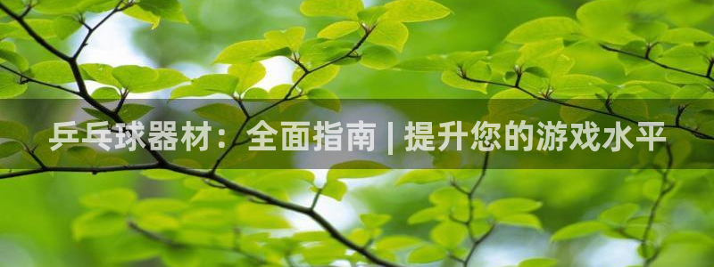 星欧娱乐平台怎么样可靠吗安全吗：乒乓球器材：全面指南