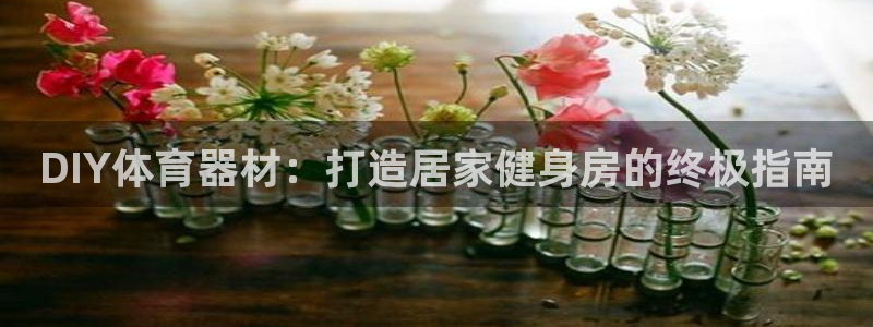 星娱乐online创作的原声：DIY体育器材：打造居