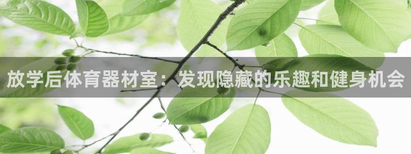 星欧娱乐测速怎么样：放学后体育器材室：发现隐藏的乐趣