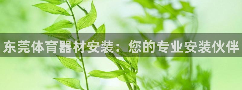 星欧娱乐公司电话号码查询：东莞体育器材安装：您的专业