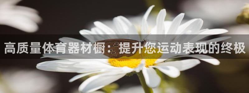 星欧娱乐公司创始人背景故事介绍：高质量体育器材橱：提